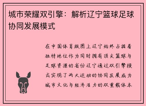 城市荣耀双引擎：解析辽宁篮球足球协同发展模式