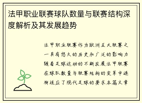 法甲职业联赛球队数量与联赛结构深度解析及其发展趋势