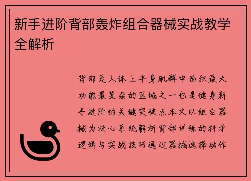 新手进阶背部轰炸组合器械实战教学全解析