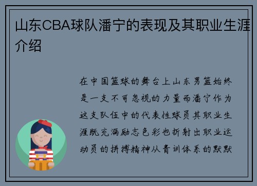 山东CBA球队潘宁的表现及其职业生涯介绍